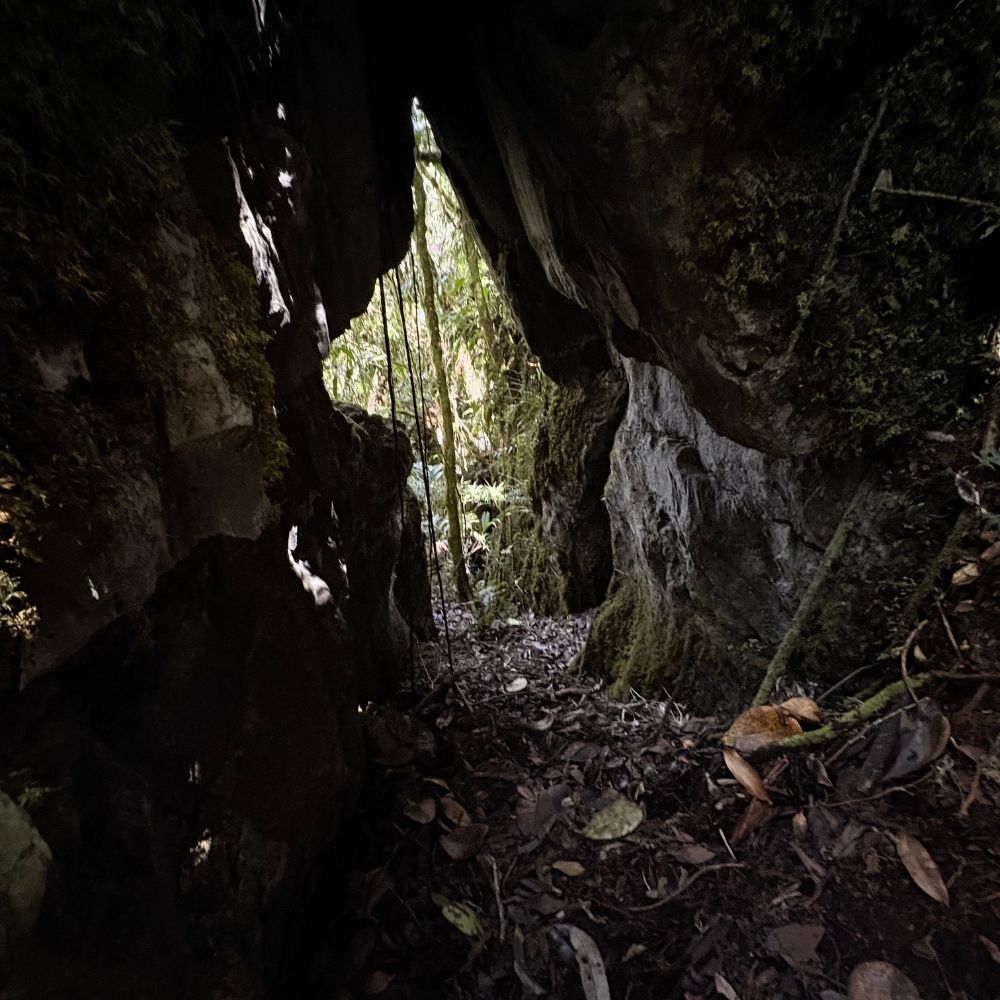 Avatar colombiano - laberinto de los gigantes 5
