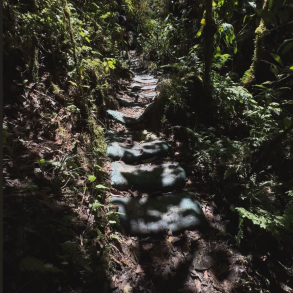 Avatar colombiano - laberinto de los gigantes 7