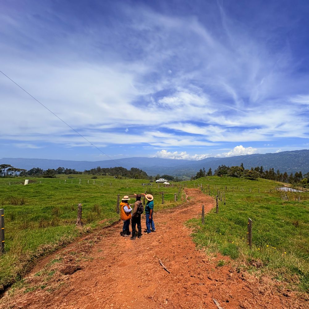 Finca la Piragua - Vélez Santander 2