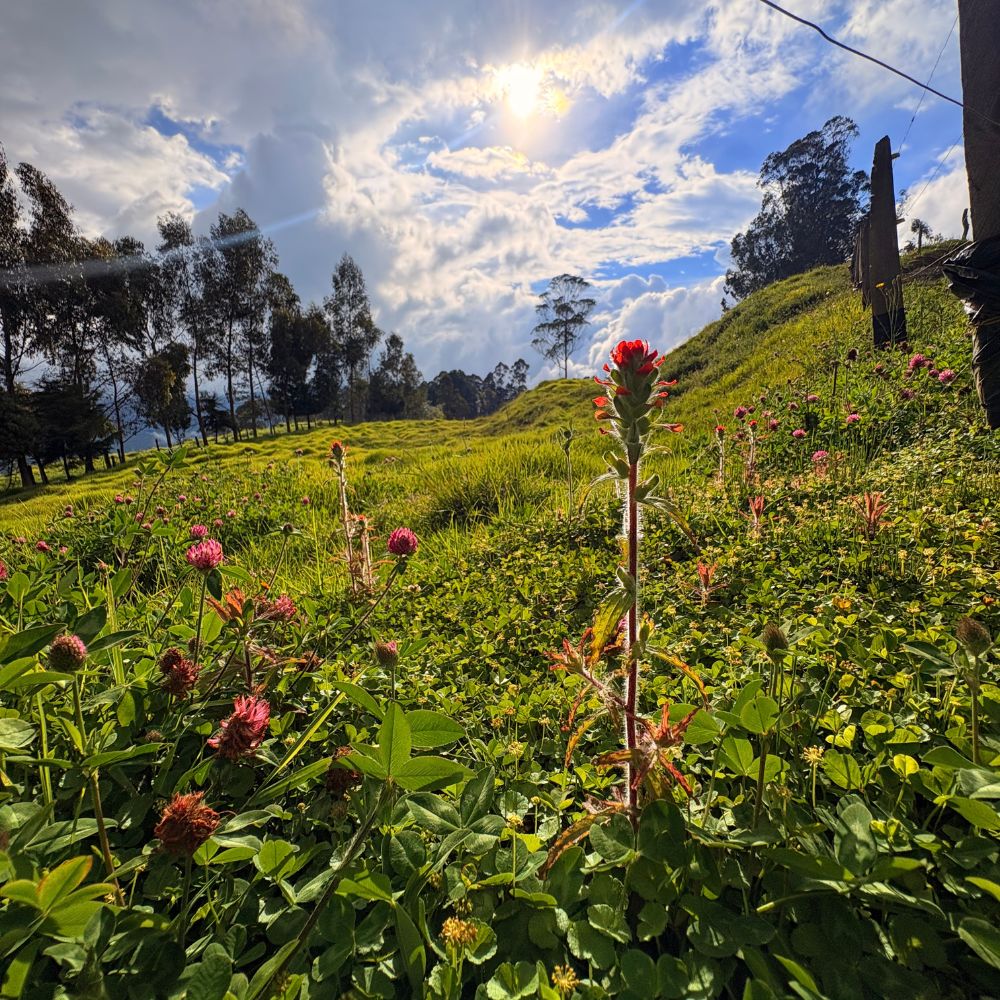 Finca la Piragua - Vélez Santander 5